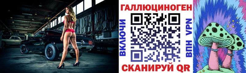 Псилоцибиновые грибы GOLDEN TEACHER  Купить где  Злынка 