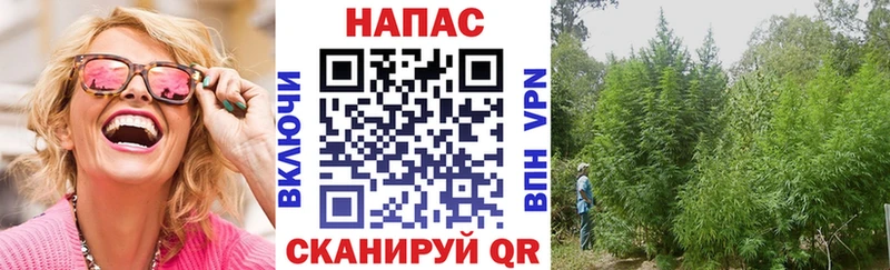 Бошки марихуана сатива  Купить  Злынка 